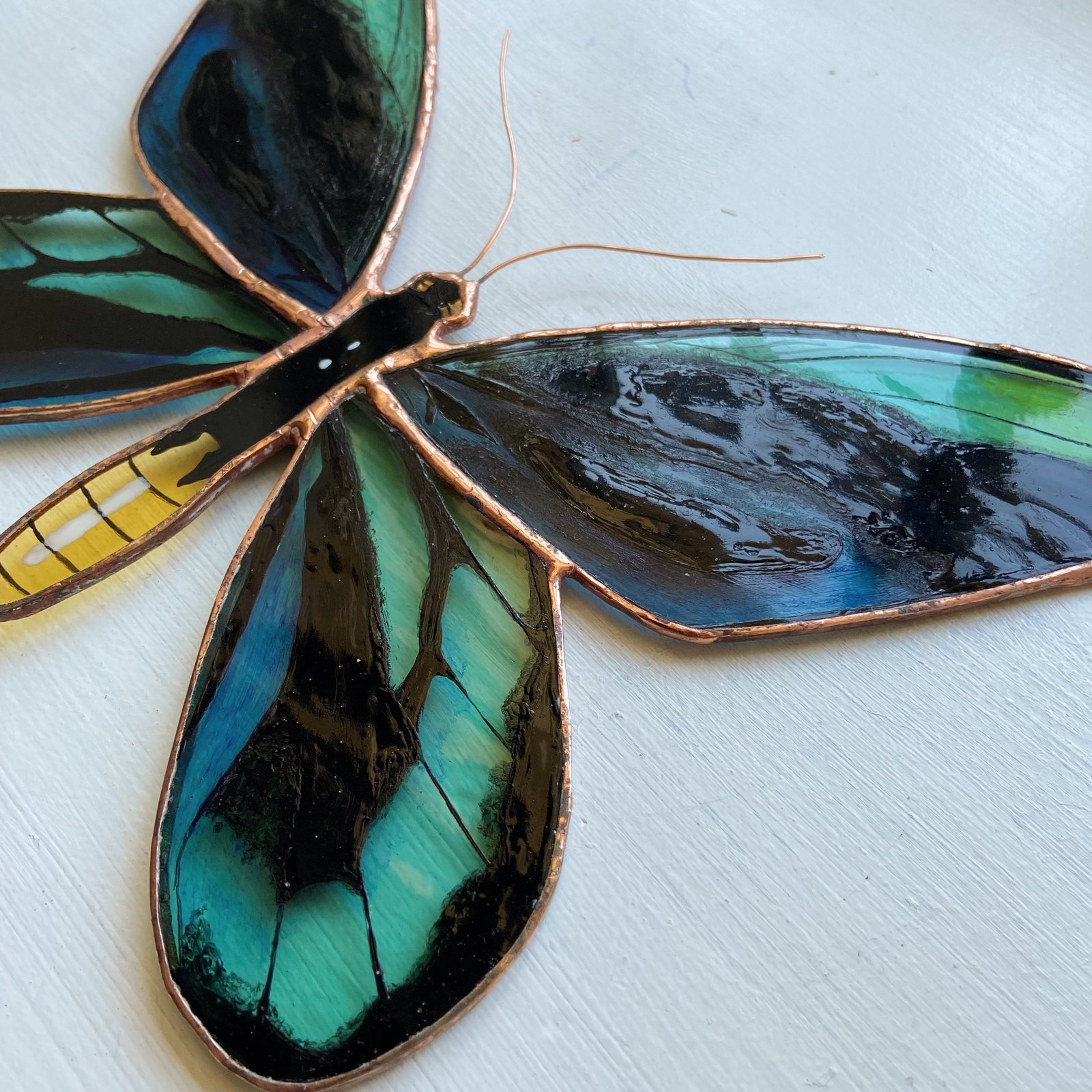 Queen Alexandra's Birdwing Butterfly / ABJ glassworks